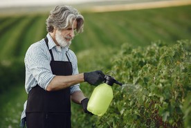 Fertilizante Líquido para Fertirrigación